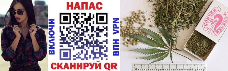 Купить наркотик Мураши mega зеркало  СОЛЬ  Cocaine  Меф  Конопля  Гашиш 
