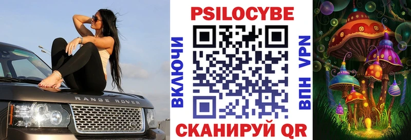 Псилоцибиновые грибы Psilocybine cubensis  Мураши 